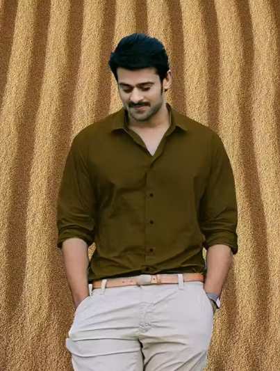 Classy Stylish Shirts For Men - BROWN