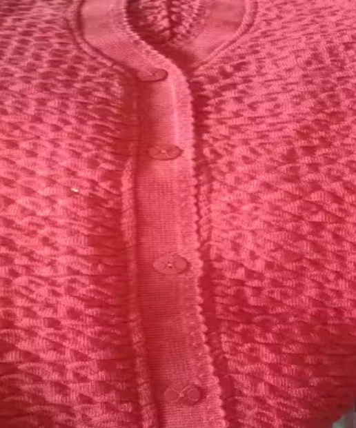 PILOT Women V-Neck Half Sleeve Sweater