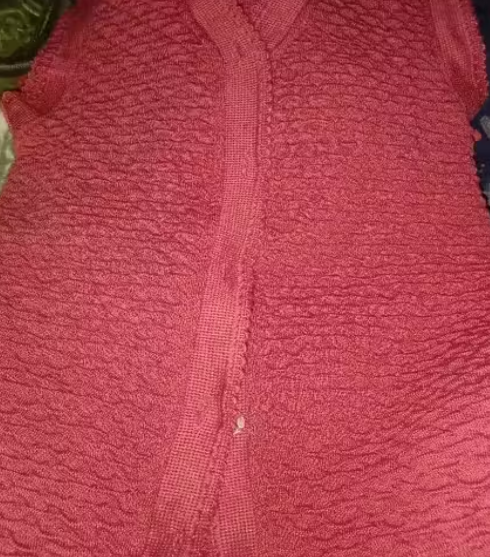 PILOT Women V-Neck Half Sleeve Sweater