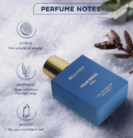 BELLAVITA POLAR BREEZE Perfume for Men|Citrusy & Woody Notes|Long Lasting Fragrance| Eau de Parfum - 100 ml  (For Men)