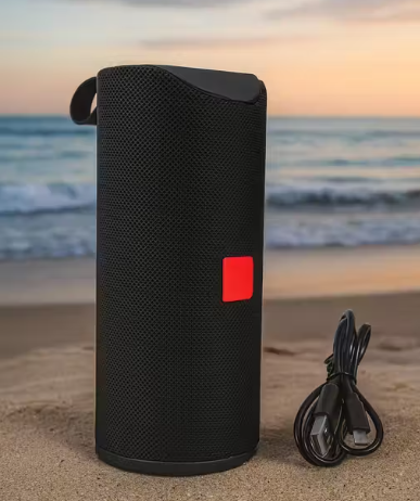 TUNDER VOICE TG-113 High Bass 10W Bluetooth Speaker Thunder Sound Portable Thunder Sound (Random Colour) (Pack of 1)