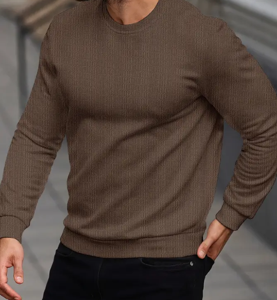 Men Full Sleeve Self Design Sweatshirt