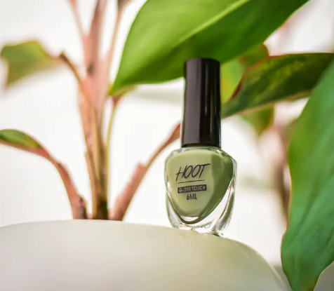 HOOT Long-lasting & Vibrant Nail Paint | Natural Nail Polish with High Gloss Finish 12 Different Shades  (Pack of 12)